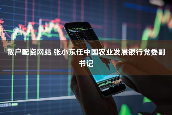 散户配资网站 张小东任中国农业发展银行党委副书记