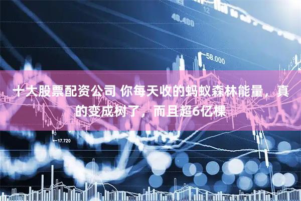 十大股票配资公司 你每天收的蚂蚁森林能量，真的变成树了，而且超6亿棵